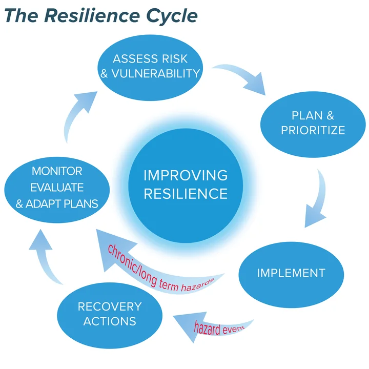 Diagram of the resilience cycle